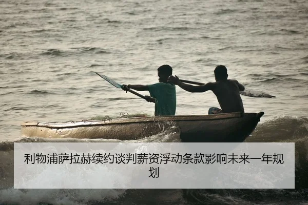 li-wu-pu-sa-la-he-xu-yue-tan-pan-xin-zi-fu-dong-tiao-kuan-ying-xiang-wei-lai-yi-nian-gui-hua-2-900.jpg
