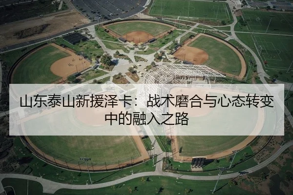 山东泰山新援泽卡：战术磨合与心态转变中的融入之路